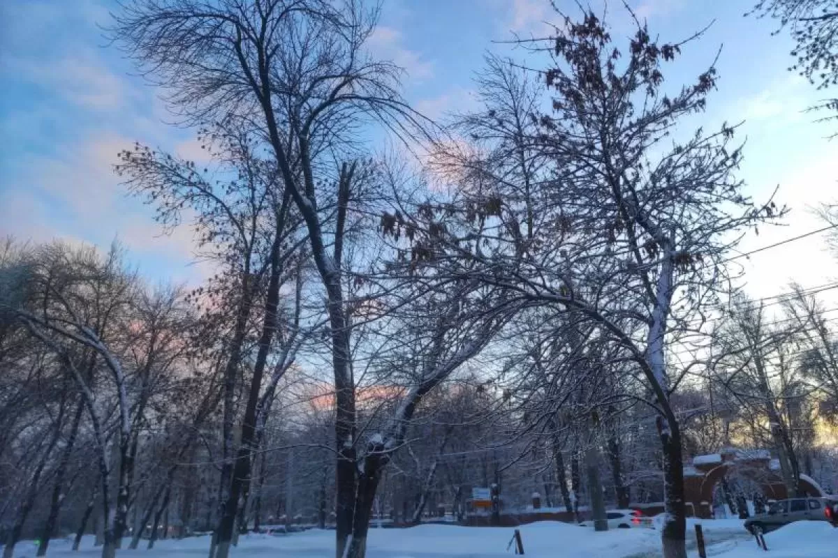 В Самарской области 11 февраля будет морозно и безветренно