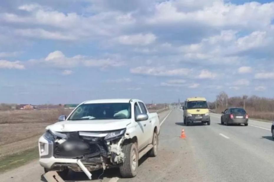 Два пони погибли под колесами «Мицубиси» на трассе в Самарской области