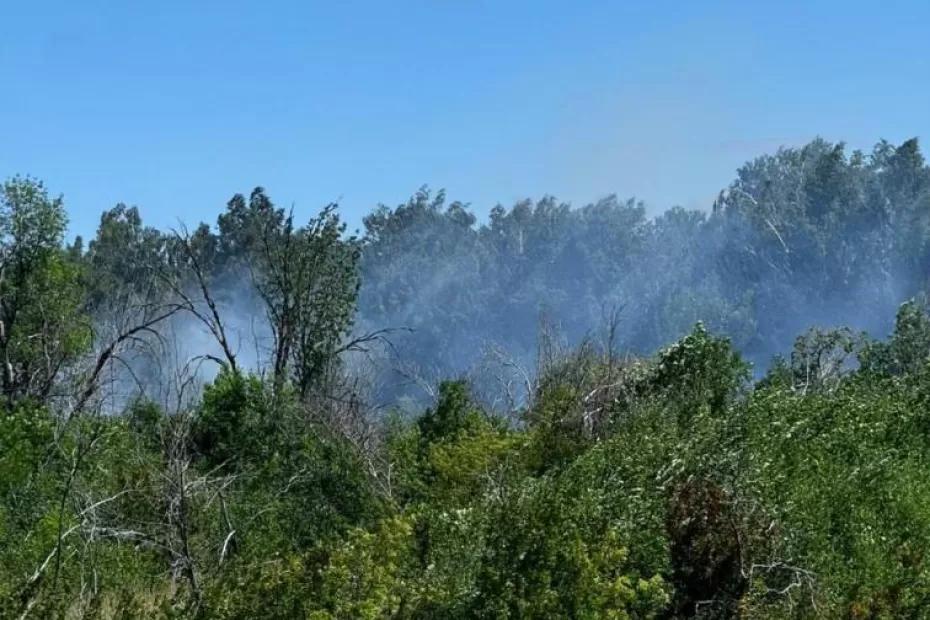 В Самарской области пылает трава вдоль железной дороги