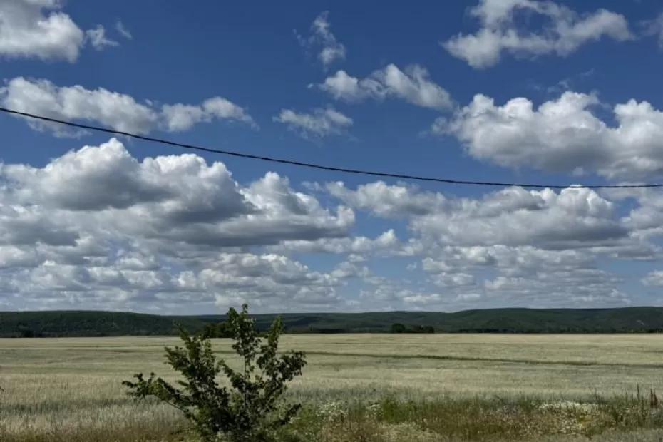 В Самарской области 19 июля воздух раскалится до 31 градуса