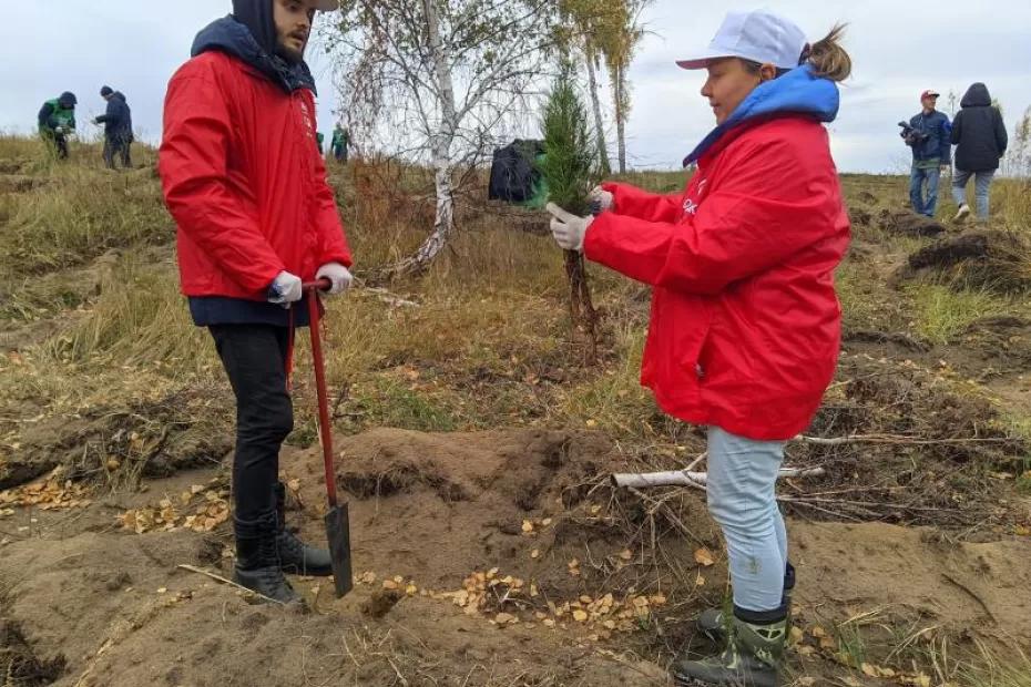 В Самарской области во время акции «Сохраним лес» посадили 28 тысяч юных сосенок