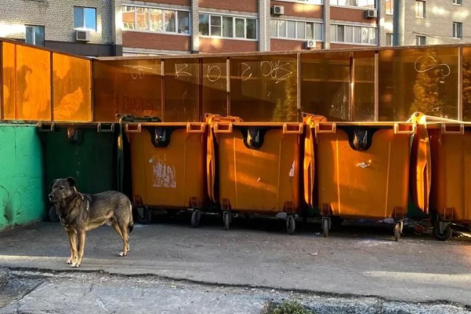 Смена оператора по обращению с ТКО в Самарской области была под угрозой срыва