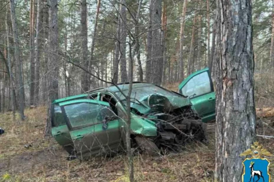 В Тольятти 20 ноября женщина погибла при столкновении иномарки с деревом - фото