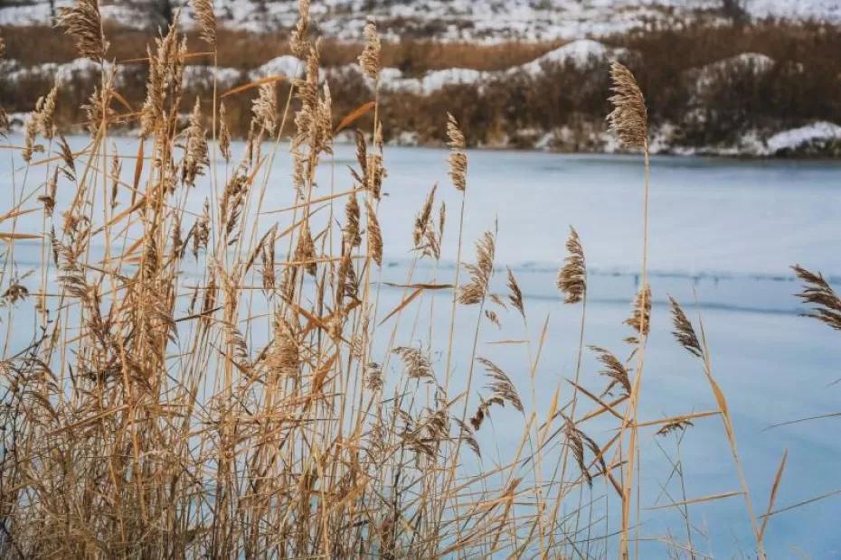 Погода на 24 декабря 2024 года: народные приметы и прогноз синоптиков