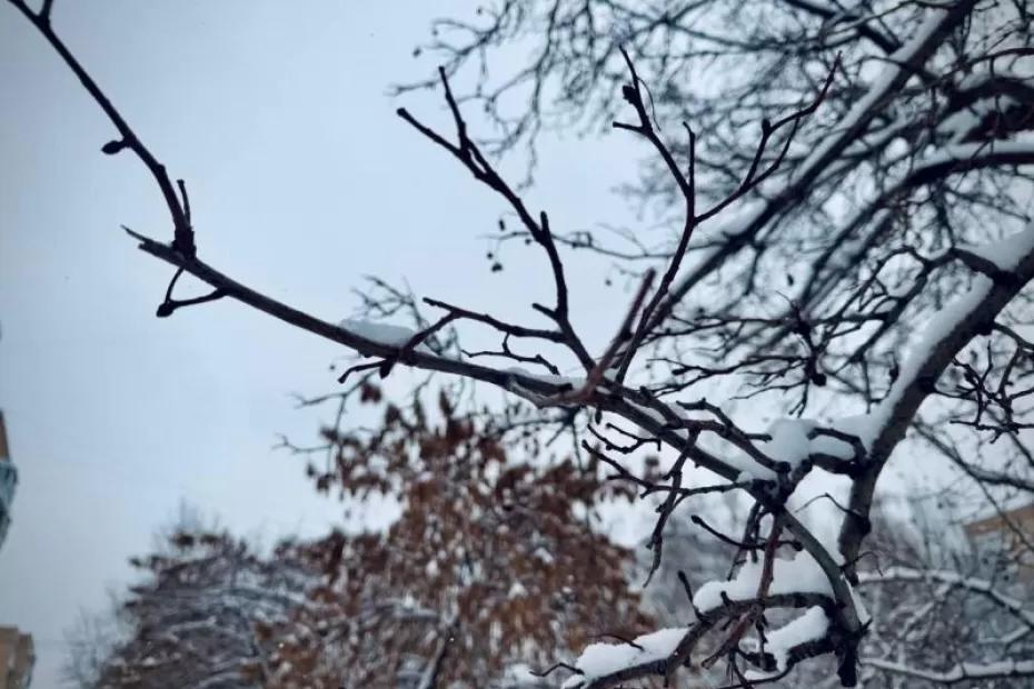 В Самарской области 17 января будет ветрено и снежно