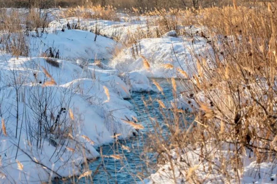 В Самарской области 28 февраля будет морозно