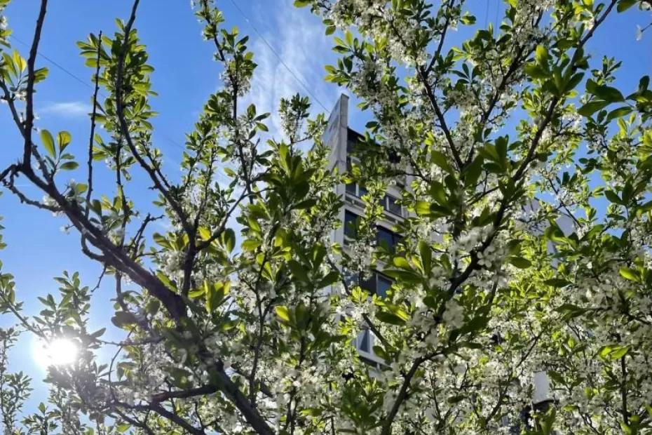 Погода на 4 мая 2025 года: народные приметы и прогноз синоптиков Погода на 4 мая 2025 года: народные приметы и прогноз синоптиков