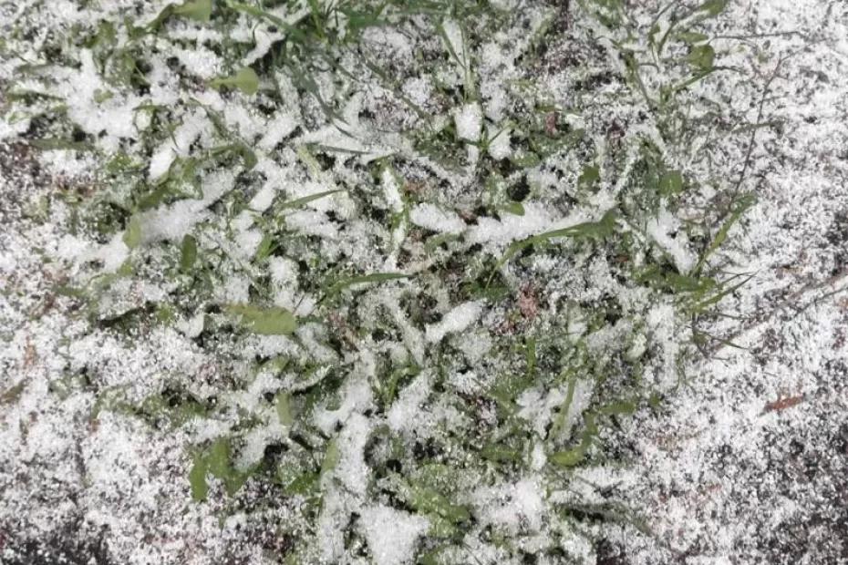 И снова в минус: Самарскую область ждут заморозки И снова в минус: Самарскую область ждут заморозки