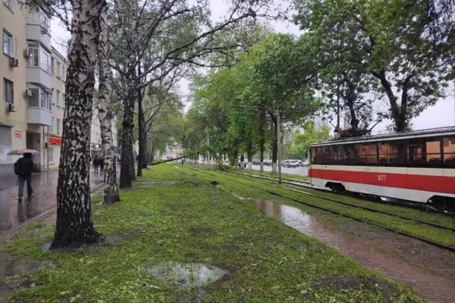 В Самаре всю ночь будут устранять последствия штормового ветра В Самаре всю ночь будут устранять последствия штормового ветра