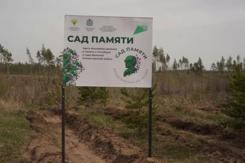 Более 143 тысяч саженцев было высажено в рамках акции «Сад памяти» в Самарской области Более 143 тысяч саженцев было высажено в рамках акции «Сад памяти» в Самарской области