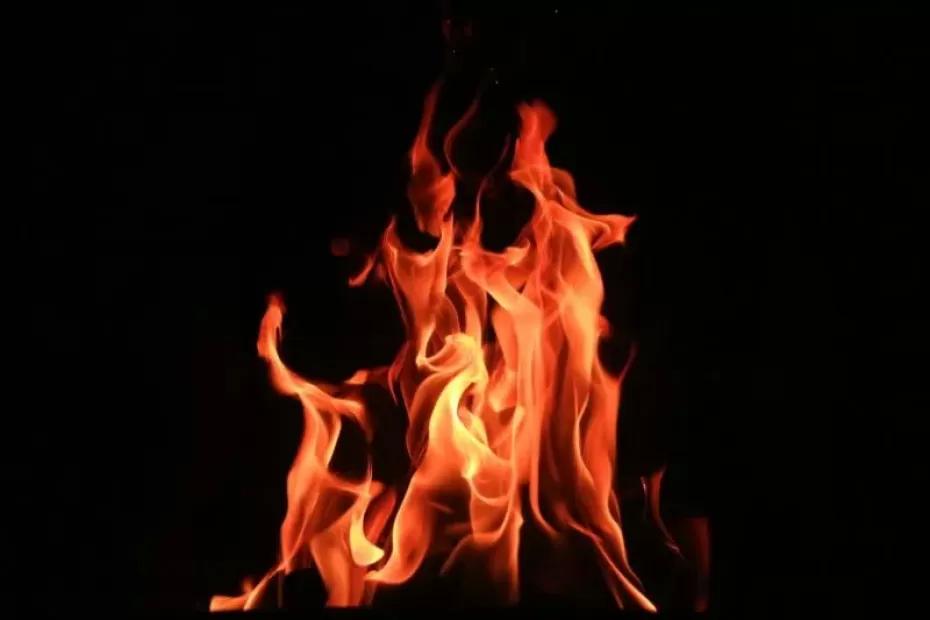 На Волге на острове Зеленый от пожара спасли яхт-клуб На Волге на острове Зеленый от пожара спасли яхт-клуб