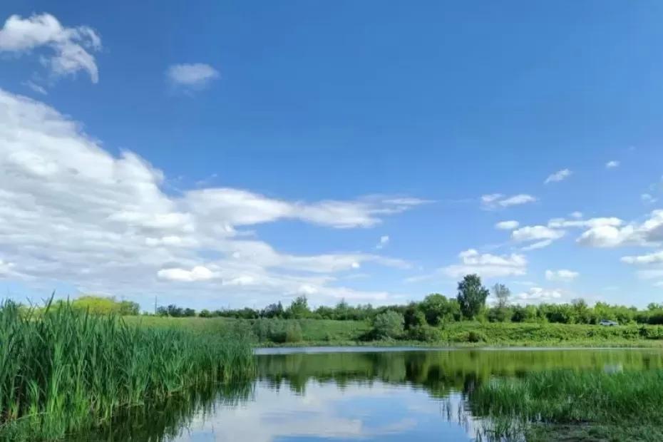 В Самарской области 7 июня будет +30 °С