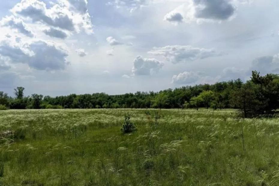 Народные приметы на 19 июня 2025 года: что нельзя делать в этот день Народные приметы на 19 июня 2025 года: что нельзя делать в этот день