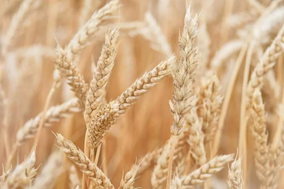 Народные приметы на 28 июня 2025 года: что нельзя делать в этот день