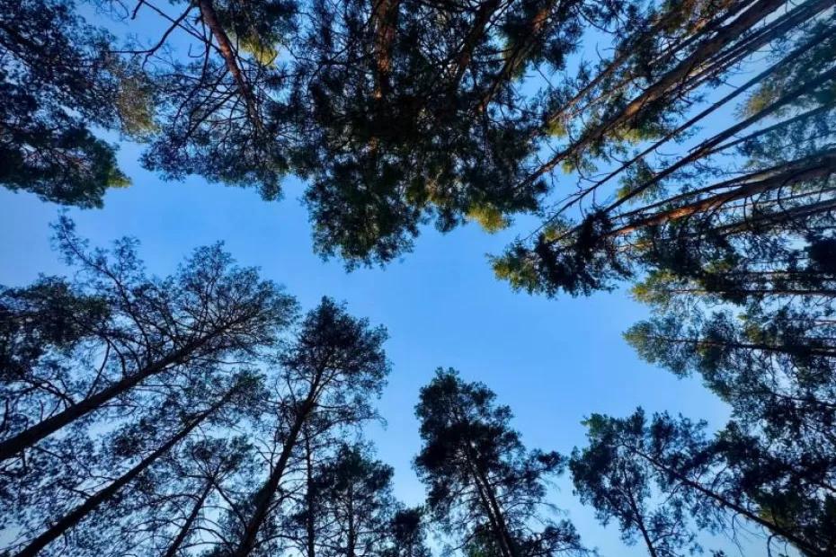 Выходные в Самарской области будут солнечными и теплыми Выходные в Самарской области будут солнечными и теплыми