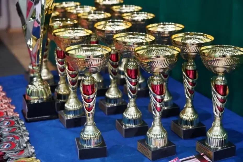 Самарские рапиристы Бородачевы примут участие в чемпионате мира Самарские рапиристы Бородачевы примут участие в чемпионате мира