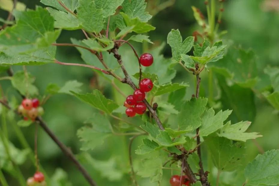 Народные приметы на 10 августа 2025 года: что нельзя делать в этот день