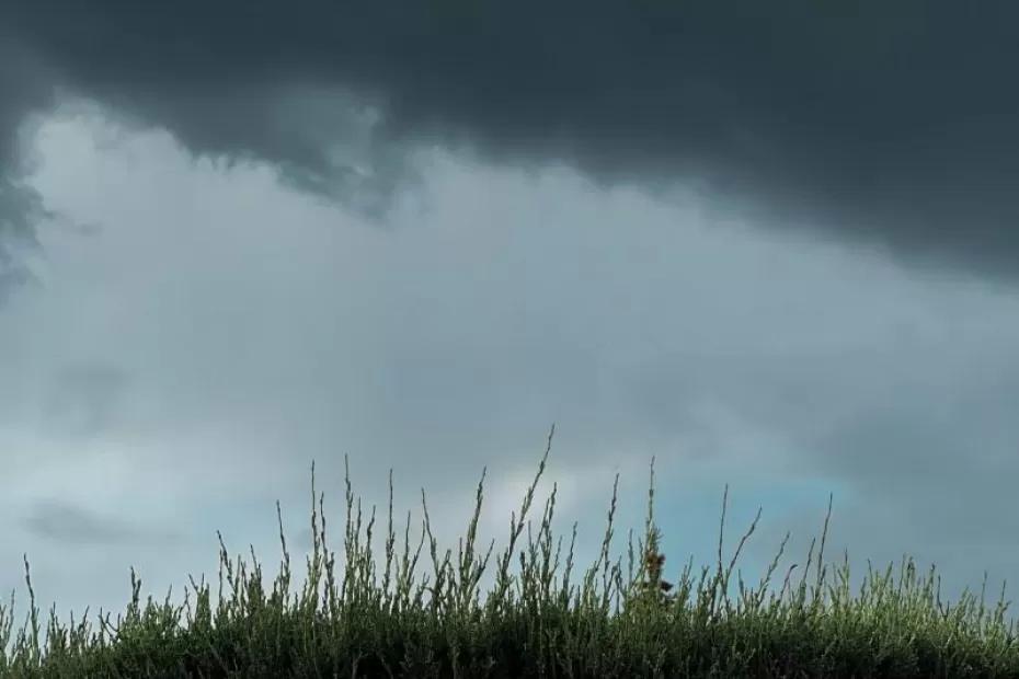 В Самарской области 2 сентября ожидается гроза, шквалистый ветер и жара