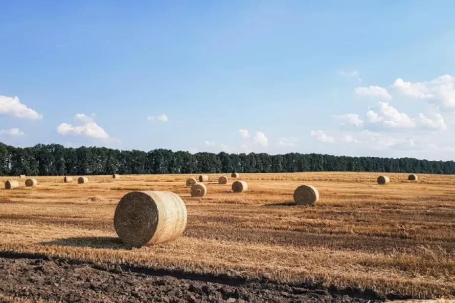 Погода на 3 сентября 2025 года: народные приметы и прогноз синоптиков