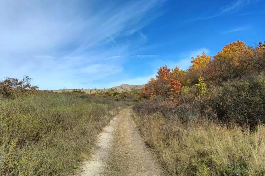 Сильный ветер и солнце: какая погода будет в Самарской области в выходные