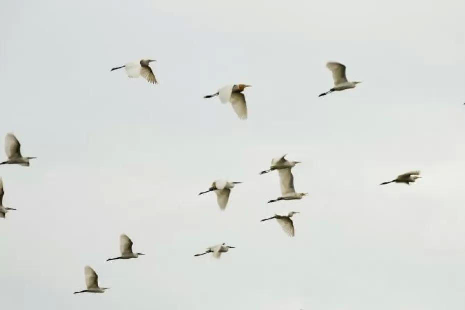 Погода на 9 сентября 2025 года: народные приметы и прогноз синоптиков