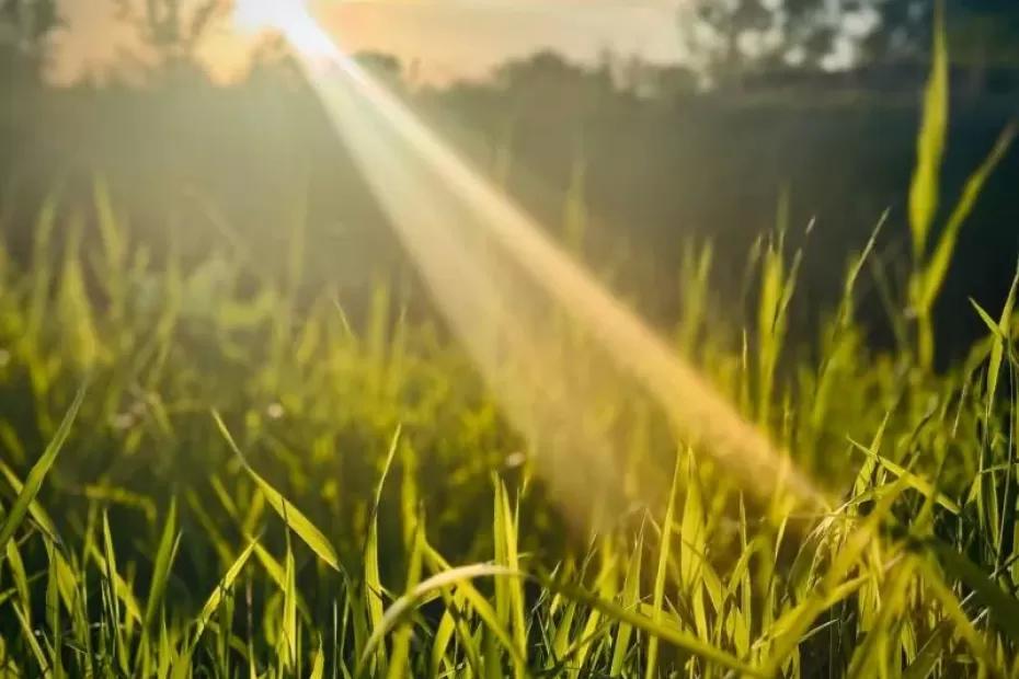 В Самарской области 9 сентября будет солнечно