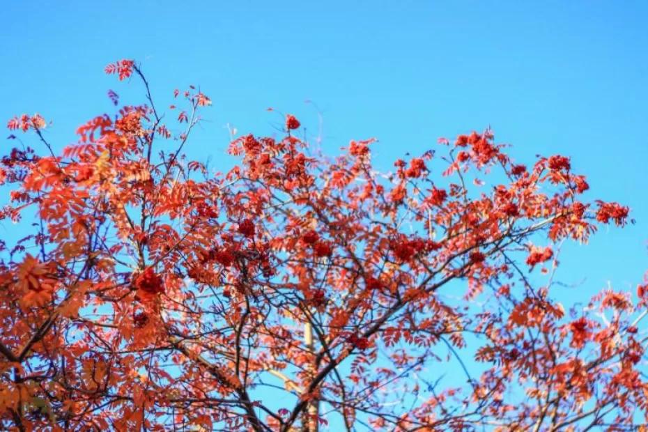 Погода на 10 сентября 2025 года: народные приметы и прогноз синоптиков