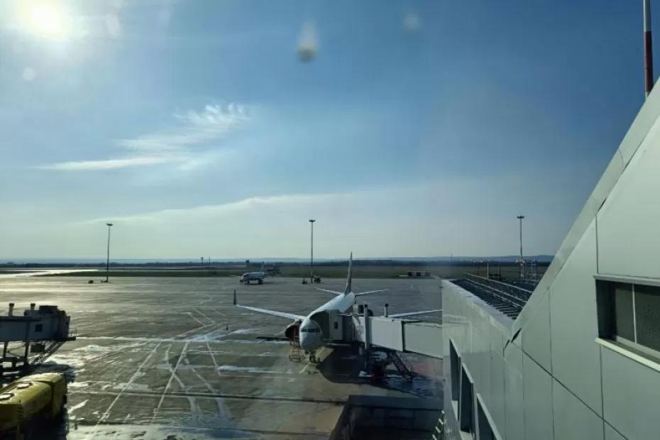 В аэропорту Курумоч изъяли 111,4 кг запрещенных орехов, фруктов и специй