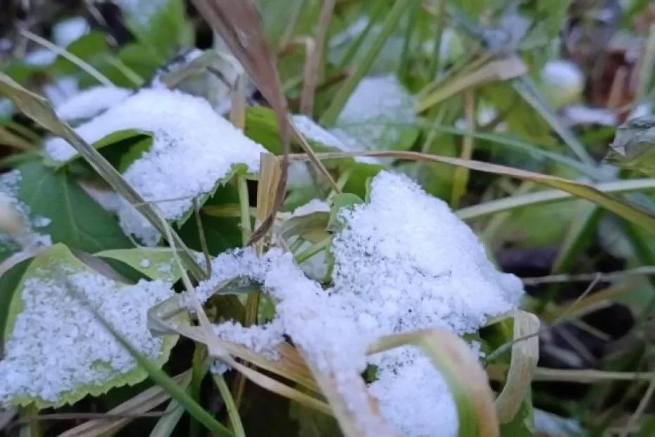 Погода на 13 сентября 2025 года: народные приметы и прогноз синоптиков