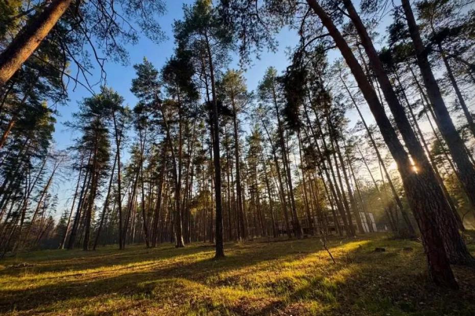 Погода на 19 сентября 2025 года: народные приметы и прогноз синоптиков