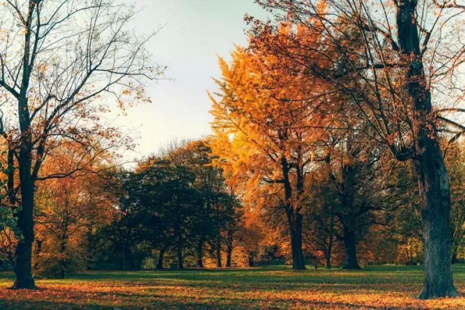 День осеннего равноденствия: какие праздники отмечают 22 сентября