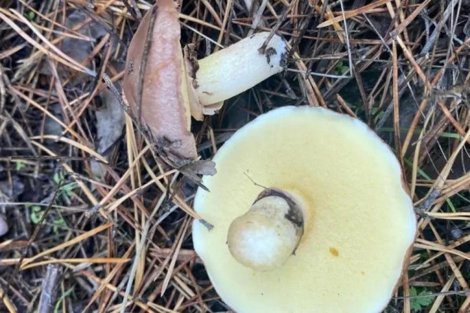 Погода на 24 сентября 2025 года: народные приметы и прогноз синоптиков