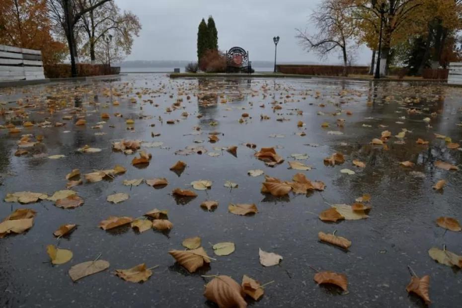 В конце сентября жителей Самарской области ожидает неуютная погода