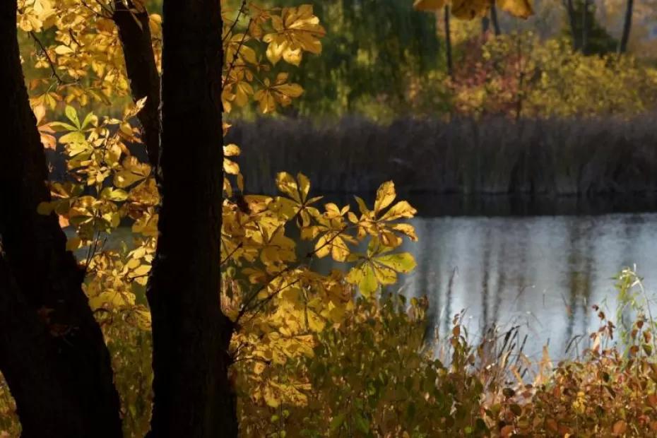 Погода на 27 сентября 2025 года: народные приметы и прогноз синоптиков