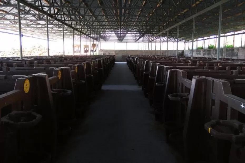 Напало животное: жительнице Самарской области выплатят компенсацию за травмы на работе