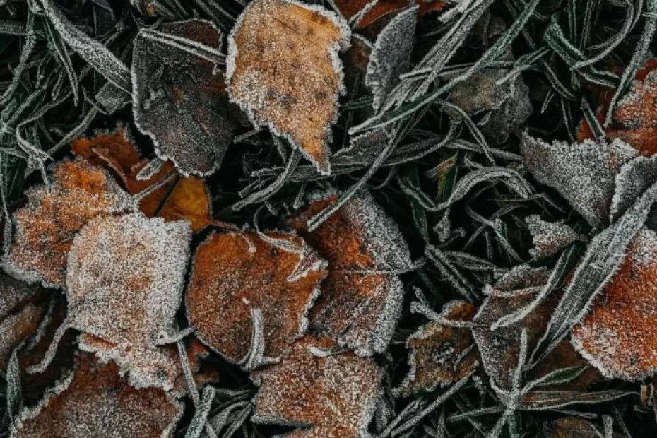 Заморозки и дождь: какая погода будет в Самарской области 27 сентября