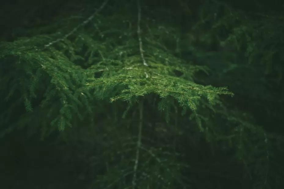 Погода на 28 сентября 2025 года: народные приметы и прогноз синоптиков