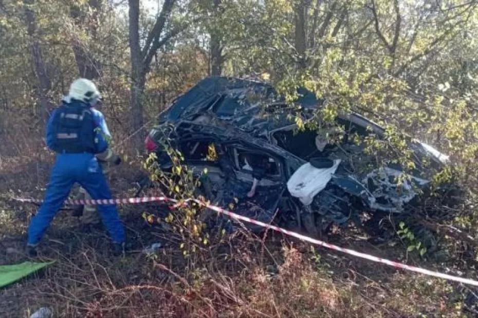 В Самарской области 28 сентября в ДТП около поселка Рощинский погибла девушка