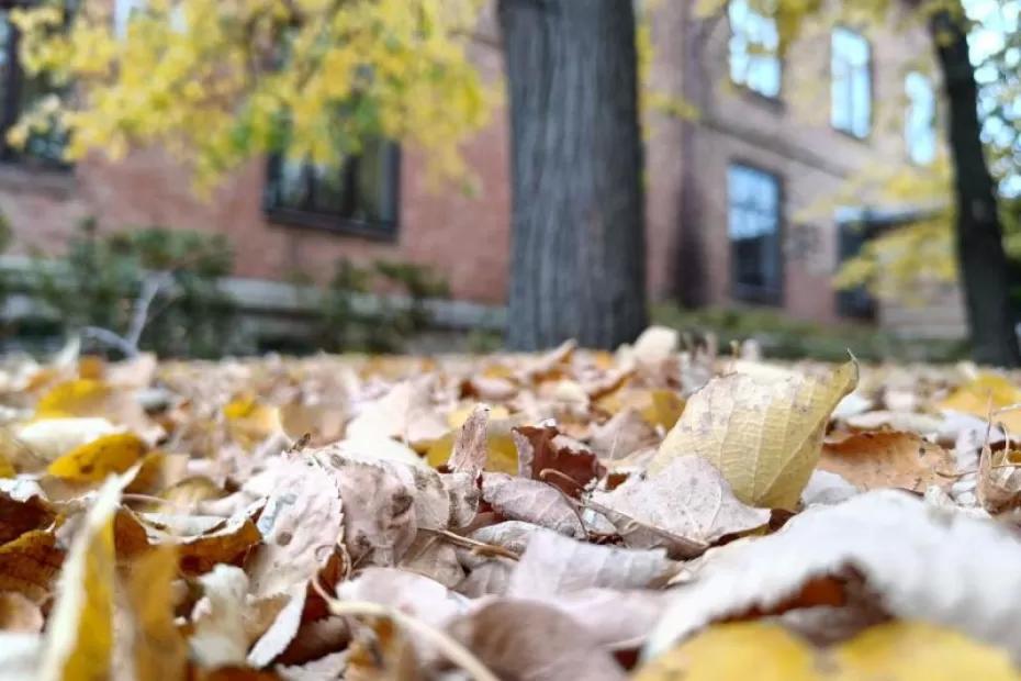 Октябрь в Самарской области будет суше, чем обычно
