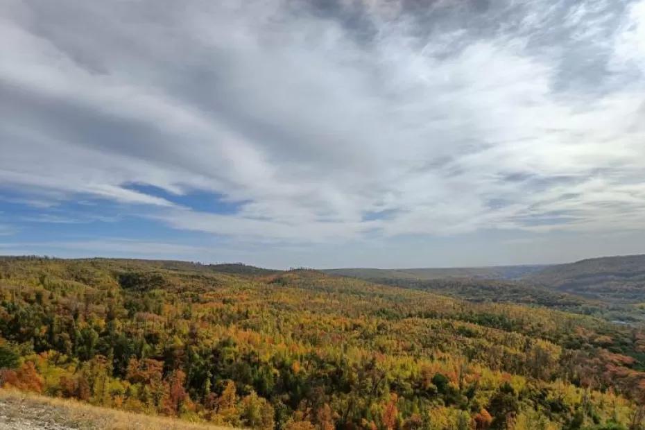 Погода на 1 октября 2025 года: народные приметы и прогноз синоптиков