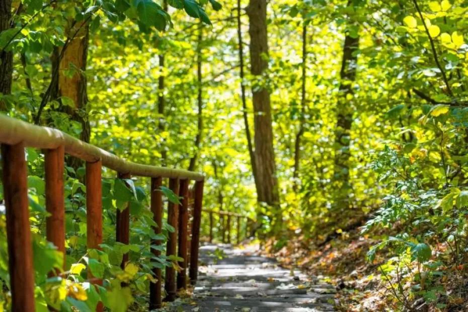 Информация об экотропах Самарской области теперь на национальном туристическом портале