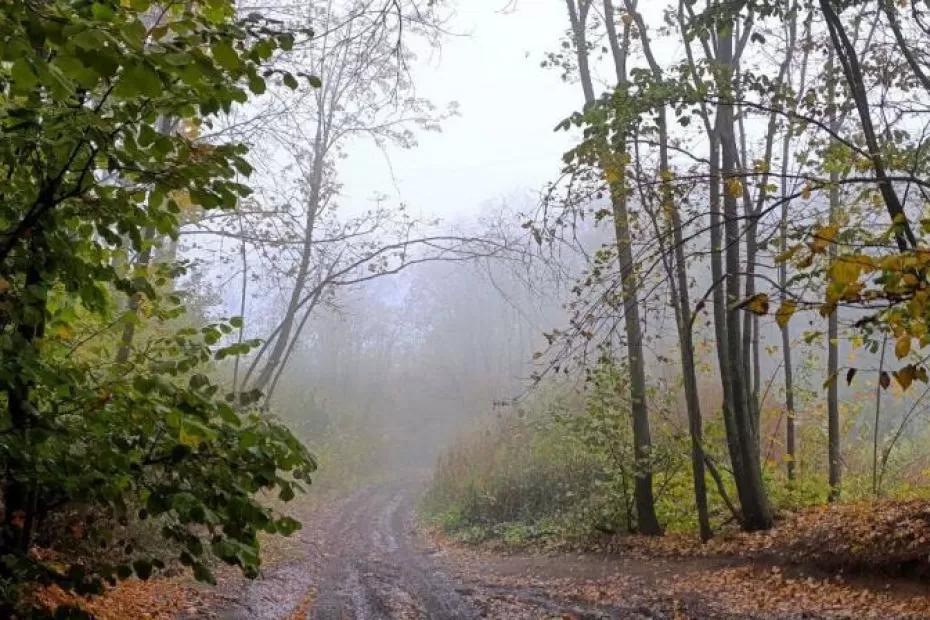 В Самарской области 2 октября сначала будет туманно, потом солнечно