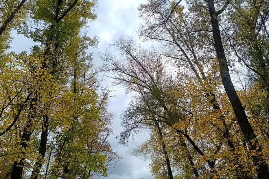 В Самарской области 3 октября будет туманно, солнечно и тепло