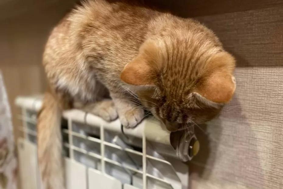 В Самаре отопление дали в 64 % жилого фонда