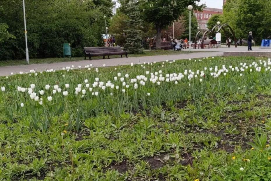 Жители Самарской области могут подать заявку на участие в программе «Народный бюджет»