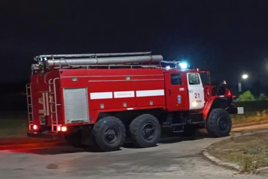 В Самарской области в пожаре погибли домашние животные