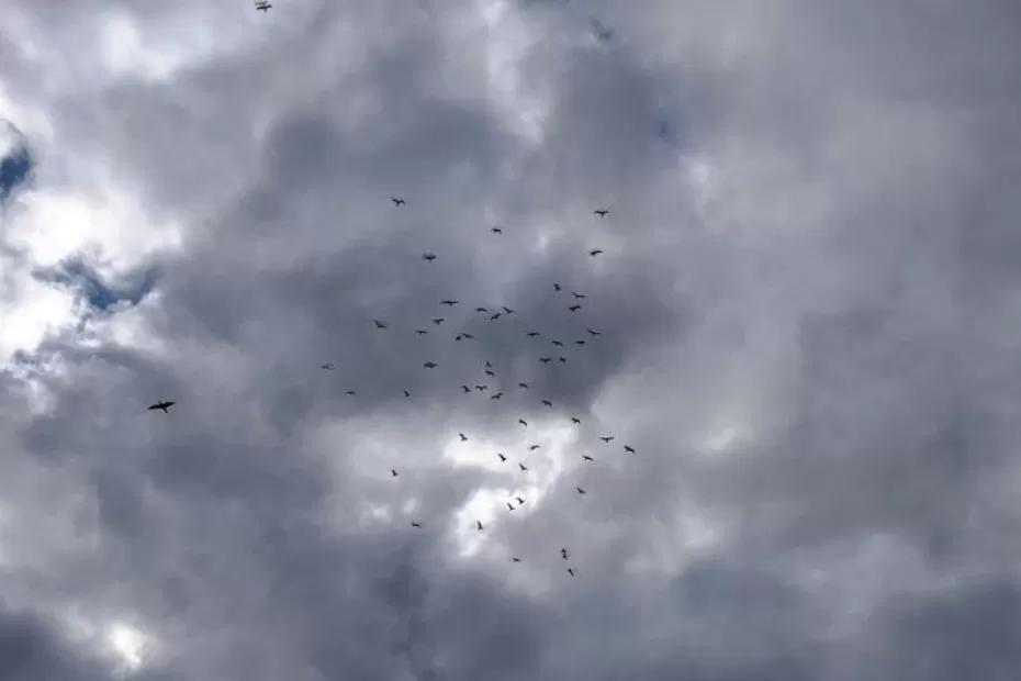 В Самарской области 9 октября будет тепло и пасмурно