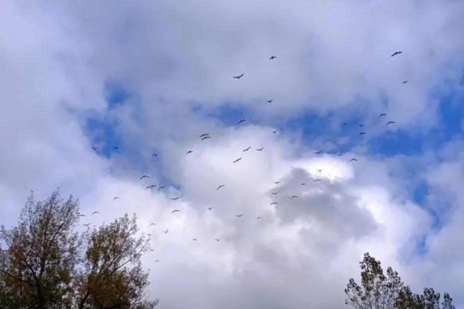 Народные приметы на 12 октября 2025 года: что нельзя делать в этот день