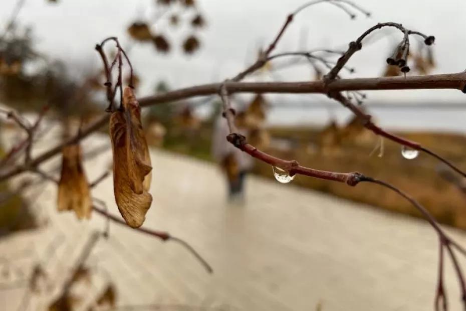 Погода на 13 октября 2025 года: народные приметы и прогноз синоптиков