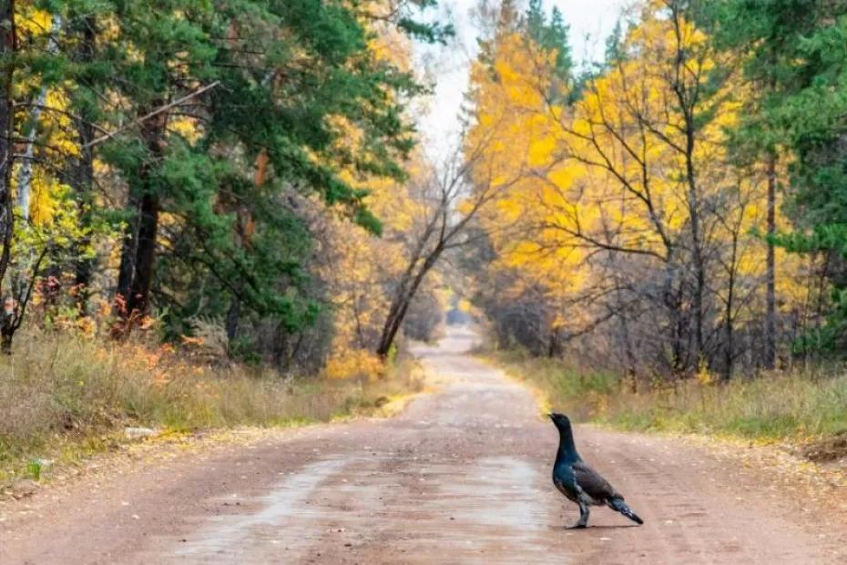 В Самарской области 15 октября будет тепло и пасмурно